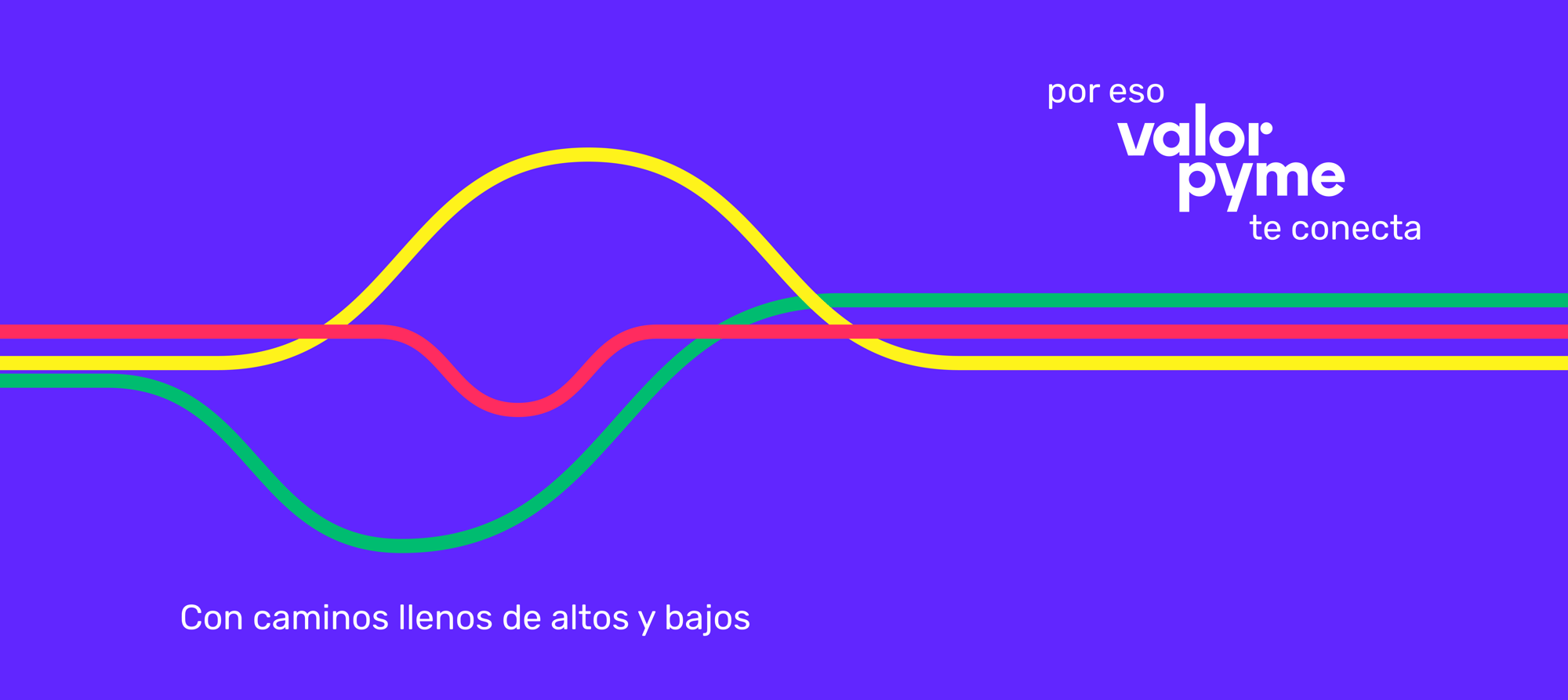 Banner Nuevo Sitio VP 2026 2