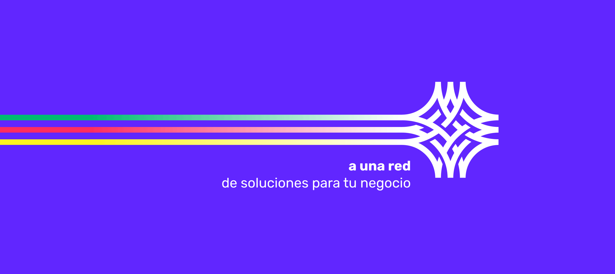 Banner Nuevo Sitio VP 2026 3