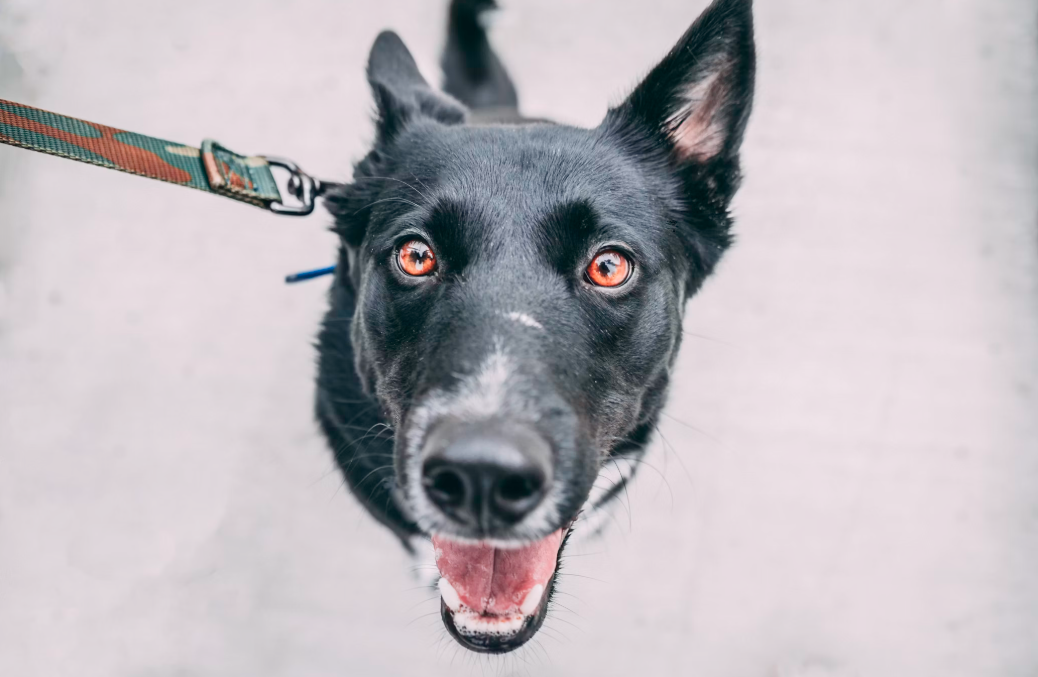 Tucker Good on Unsplash