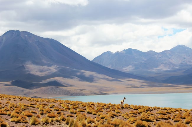 Eficiencia hídrica - CAMBIO CLIMÁTICO