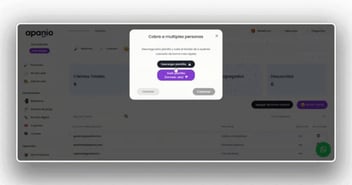 sitio web apanio