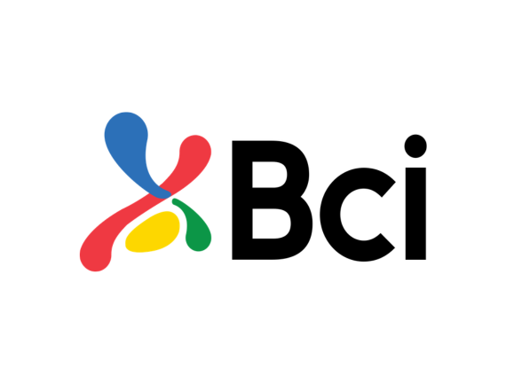 VP Logo Bci Landing 2026
