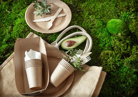 eco-friendly-stylish-disposable-convenient-beautiful-recyclable-tableware