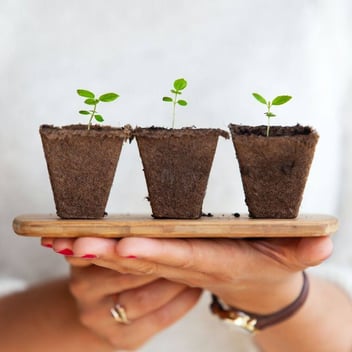 como-hacer-crecer-una-empresa