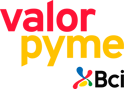 logo-valor-pyme-bcii
