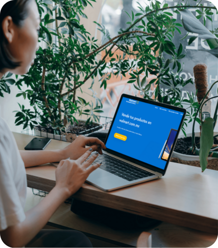 Walmart Paid Media Page